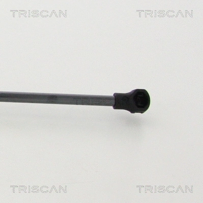 Gas Spring, boot/cargo area