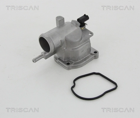 Thermostat, coolant (8620 19487)