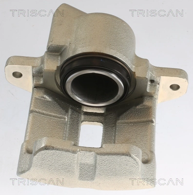 Brake Caliper (8175 25102)