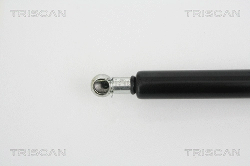 Gas Spring, boot/cargo area