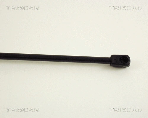 Gas Spring, boot/cargo area