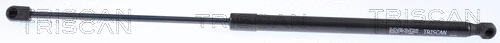 Gas Spring, boot/cargo area (8710 14221)