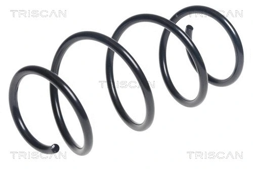 Suspension Spring (8750 11191)