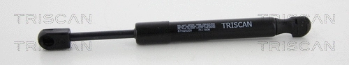 Gas Spring, rear window