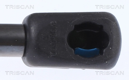 Gas Spring, boot/cargo area