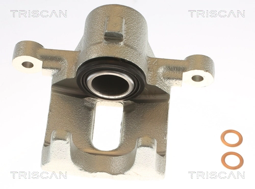 Brake Caliper (8175 13204)