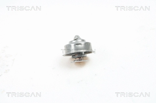 Thermostat, coolant (8620 1991)
