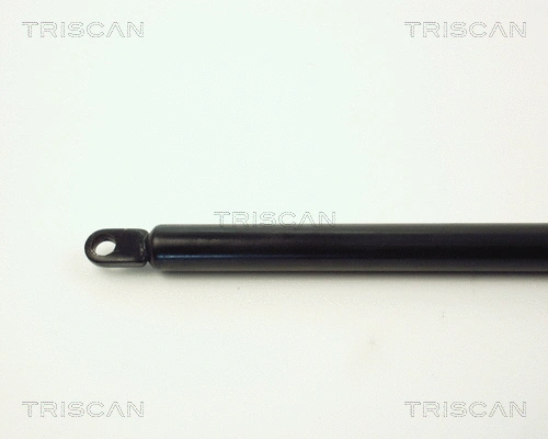 Gas Spring, boot/cargo area