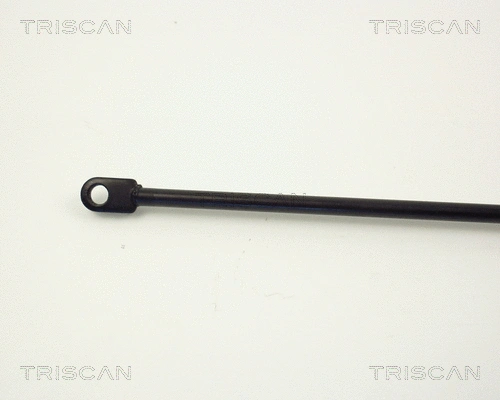 Gas Spring, boot/cargo area