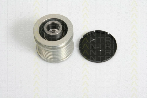 Alternator Freewheel Clutch (8641 234010)