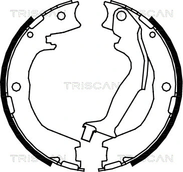 Brake Shoe Set, parking brake (8100 18007)