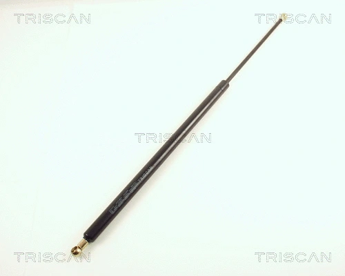 Gas Spring, boot/cargo area (8710 38201)