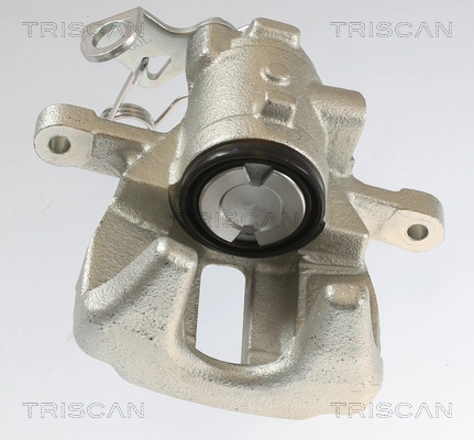 Brake Caliper (8175 10223)