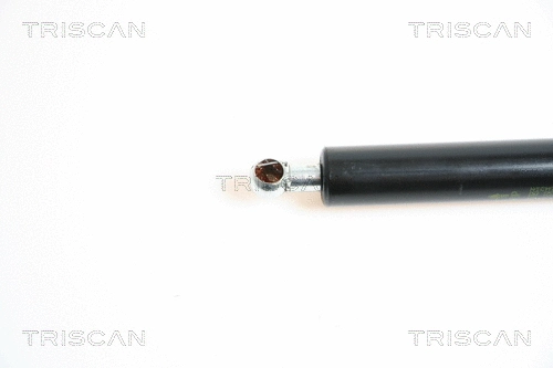 Gas Spring, boot/cargo area