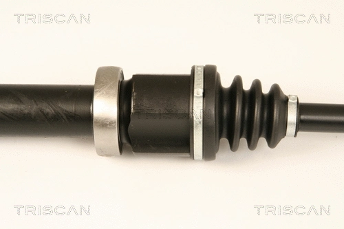 Drive Shaft