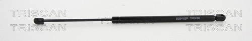 Gas Spring, boot/cargo area