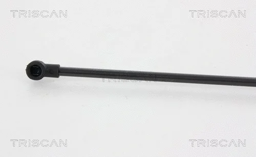 Gas Spring, boot/cargo area