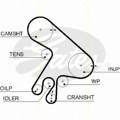 Timing Belt Kit