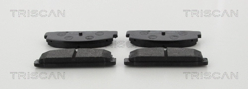 Brake Pad Set, disc brake (8110 50002)