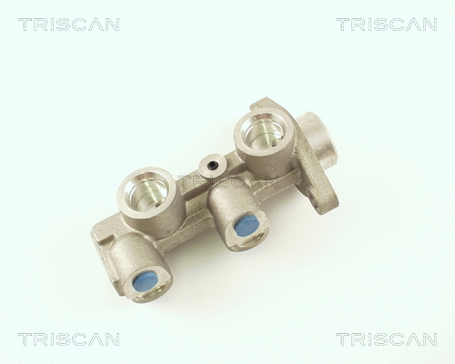 Brake Master Cylinder (8130 24112)