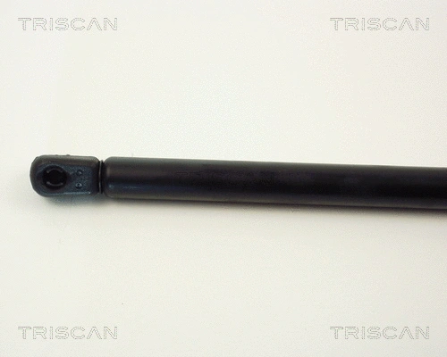 Gas Spring, boot/cargo area