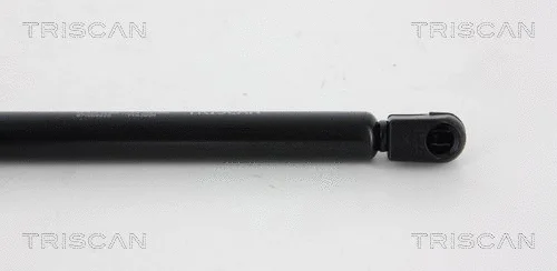 Gas Spring, boot/cargo area