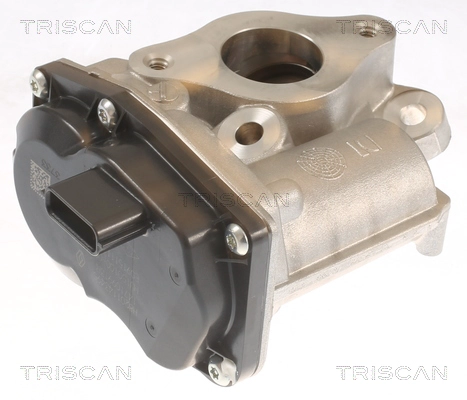 EGR Valve (8813 10055)