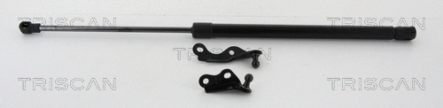 Gas Spring, boot/cargo area (8710 13287)