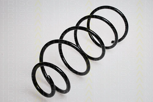 Suspension Spring (8750 2879)