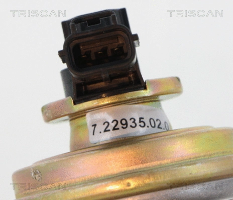 EGR Valve