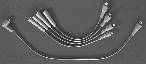 Ignition Cable Kit (8860 4404)