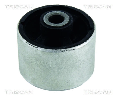 Mounting, control/trailing arm (8500 25830)