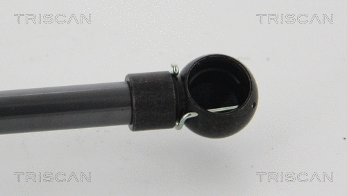 Gas Spring, boot/cargo area