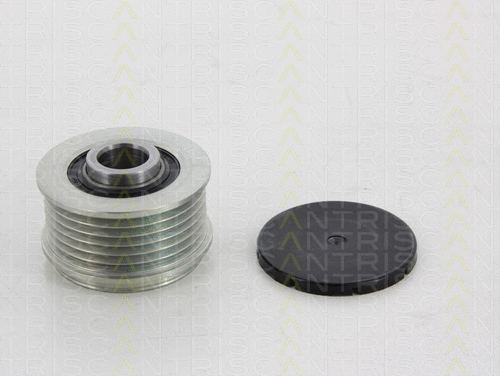 Alternator Freewheel Clutch (8641 434005)
