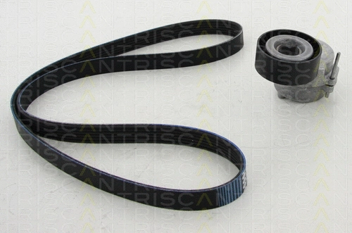 V-Ribbed Belt Set (8642 10015)