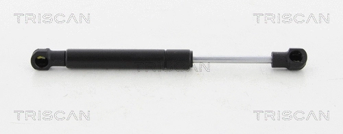 Gas Spring, boot/cargo area (8710 20203)