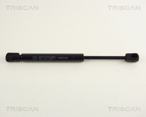 Gas Spring, boot/cargo area (8710 24224)