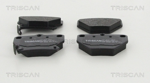 Brake Pad Set, disc brake (8110 13047)