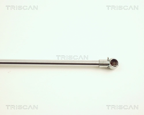 Gas Spring, boot/cargo area