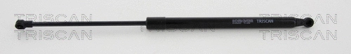 Gas Spring, boot/cargo area