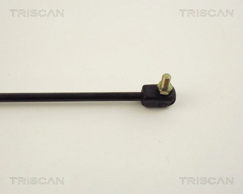 Gas Spring, boot/cargo area
