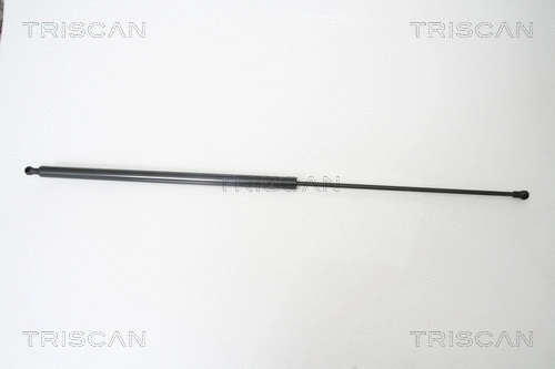 Gas Spring, boot/cargo area (8710 66203)