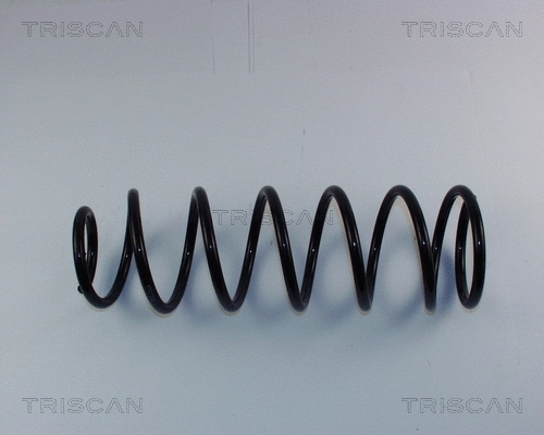 Suspension Spring (8750 1650)