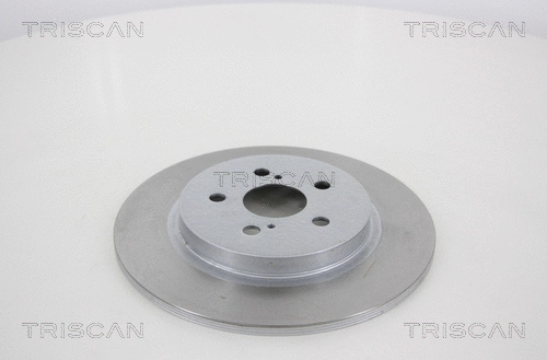 Brake Disc (8120 131029)