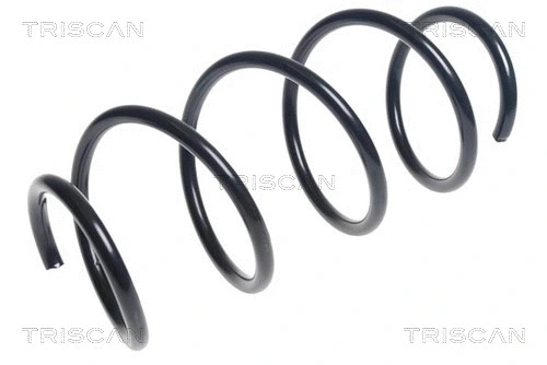 Suspension Spring (8750 23175)