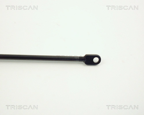 Gas Spring, boot/cargo area