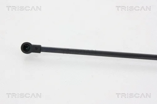 Gas Spring, boot/cargo area