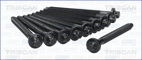 Cylinder Head Bolt Set (98-7001)