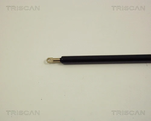 Gas Spring, bonnet