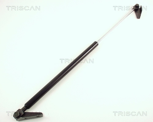 Gas Spring, boot/cargo area (8710 43201)